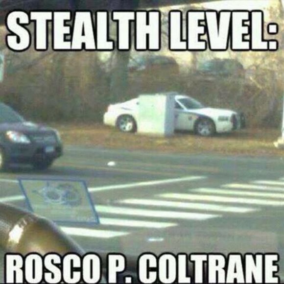 Just for Fun - Picture 14 of 16